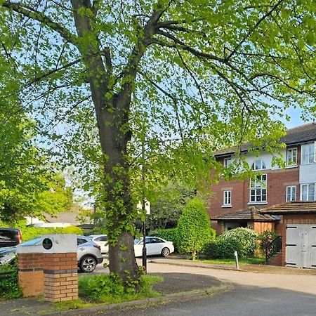 Lovely Flat Close To Shepherd'S Bush Daire Londra Dış mekan fotoğraf